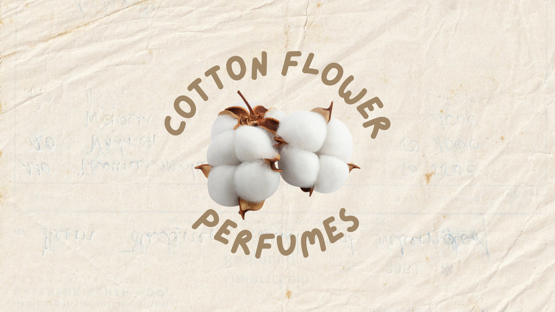 Perfumes with Cotton flowers