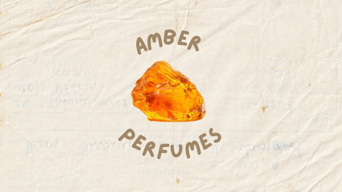 Top Amber Fragrances