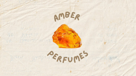 Top Amber Fragrances