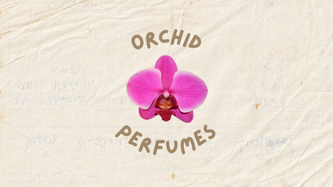 Perfumes with Orchid