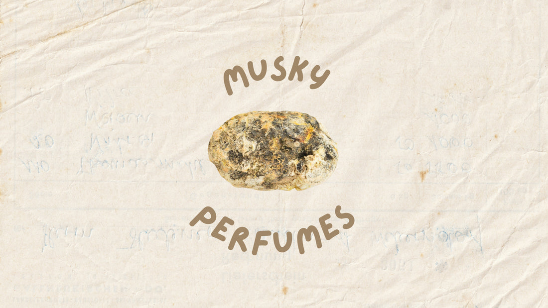 Best Musky perfumes