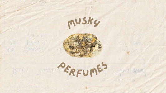 Best Musky perfumes