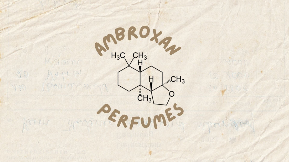 Best ambroxan colognes