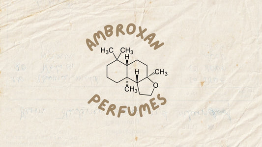 Best ambroxan colognes