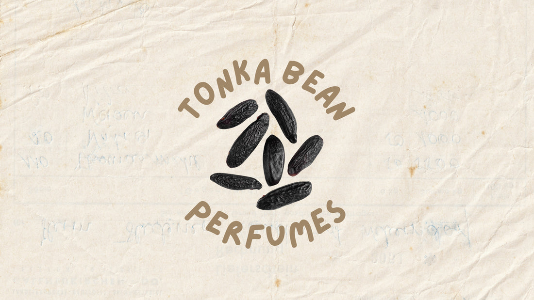 Best Tonka Bean Perfumes