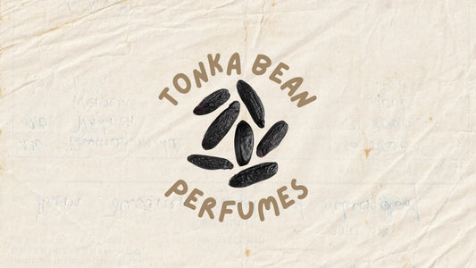 Best Tonka Bean Perfumes