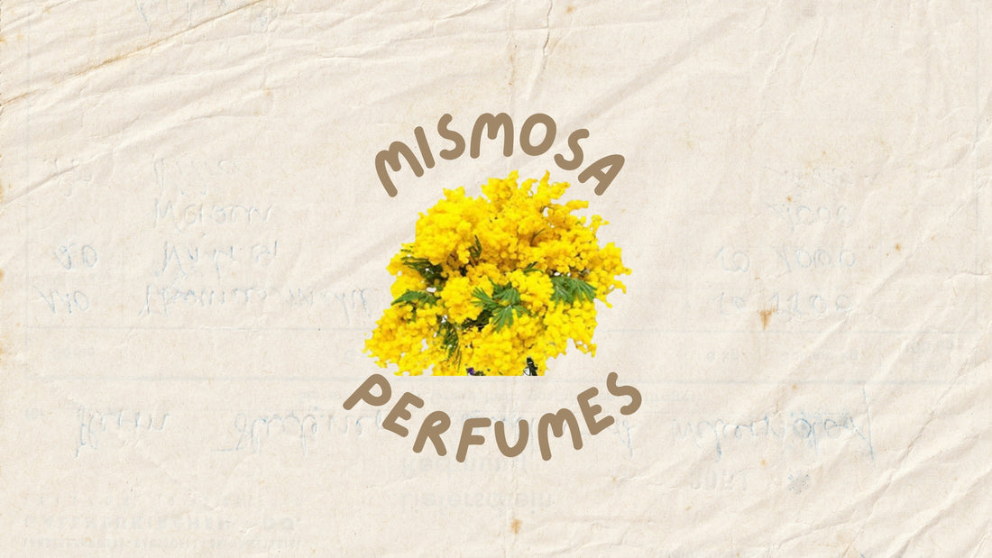 Top Mimosa perfumes