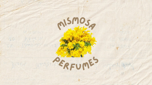 Top Mimosa perfumes
